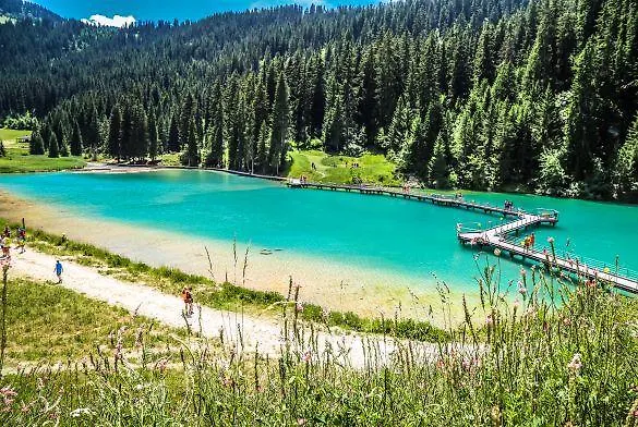 아파트 N 5 쿠쉐벨